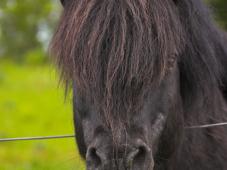 Schottland -14