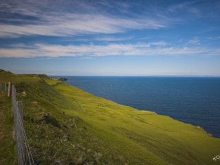 Schottland -35