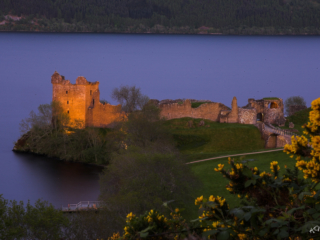 Schottland -41