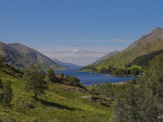 Schottland -42