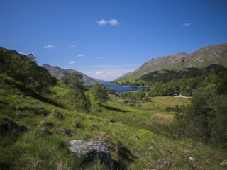 Schottland -43