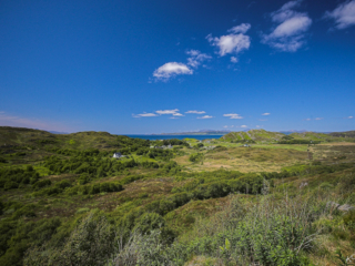Schottland -50