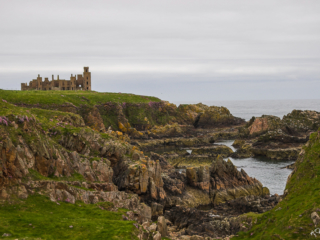 Schottland -7