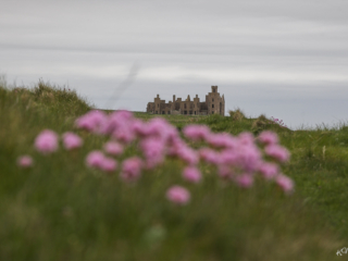 Schottland -8